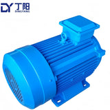 Custom 55kw 2-Pole Three-Phase Induction Motor, Robust, Cost-Effective, and Durable