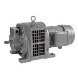 Electromagnetic Speed-Regulating Asynchronous Motor