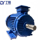 15kw 2-Pole AC Induction Motor Smooth & Stable Operation
