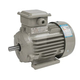 YE3 Series Ultra-High Efficiency Motors