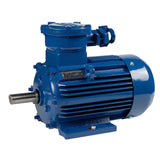 Explosion-Proof Motor