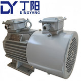 3kw 2-Pole Yvf/Yvp Series 3-Phase Induction Motor with Fan Cooling